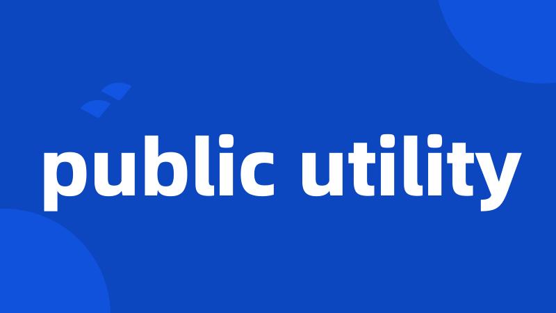 public utility