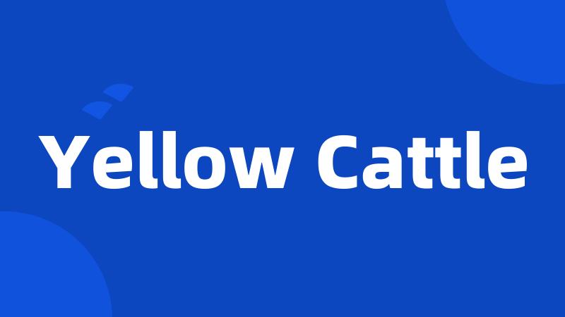 Yellow Cattle