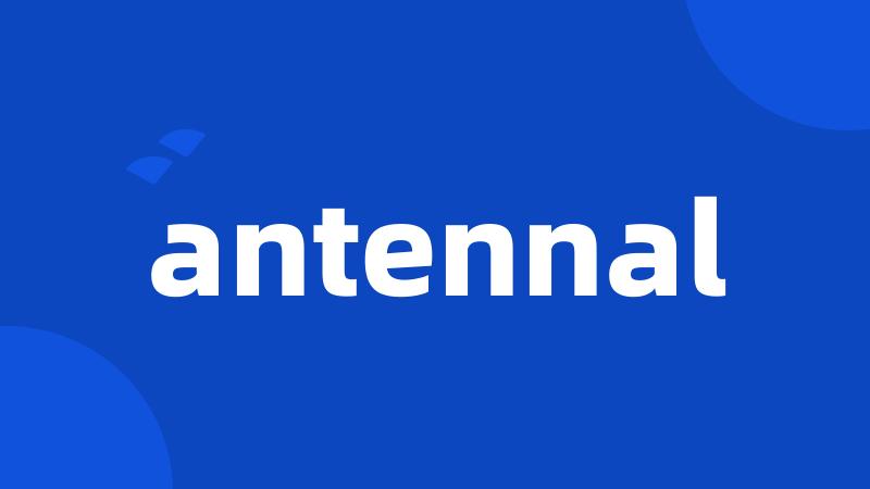 antennal