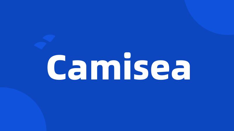 Camisea