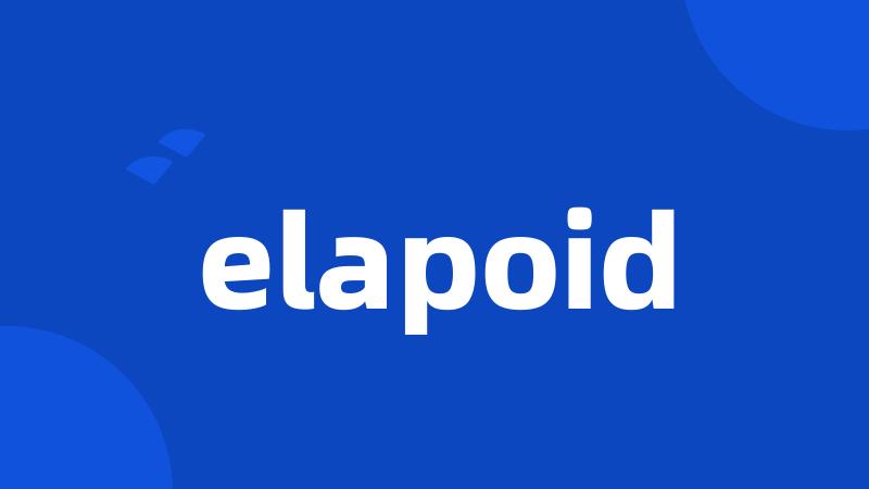 elapoid