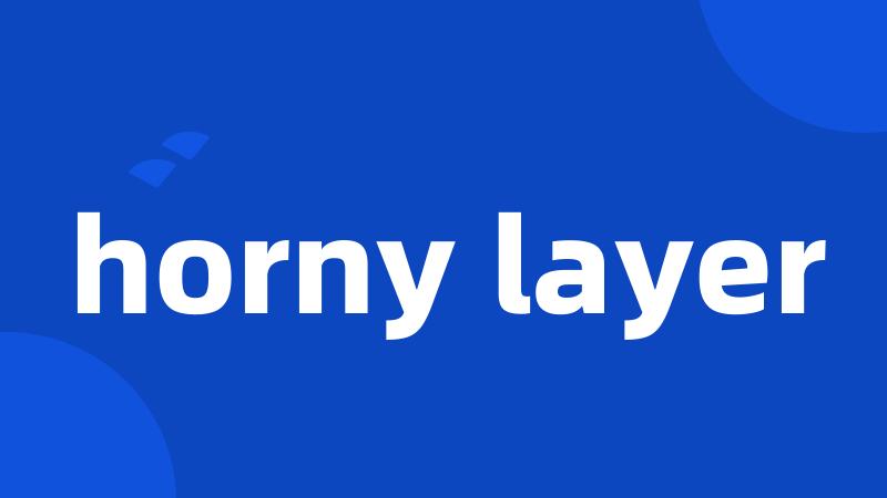 horny layer