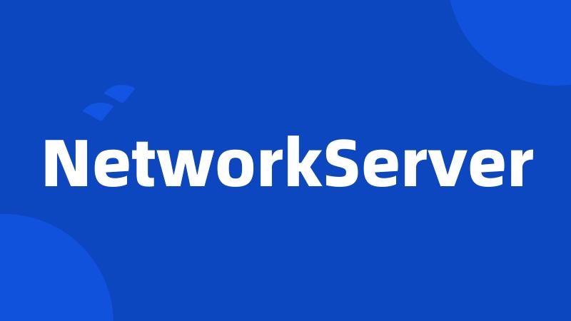 NetworkServer