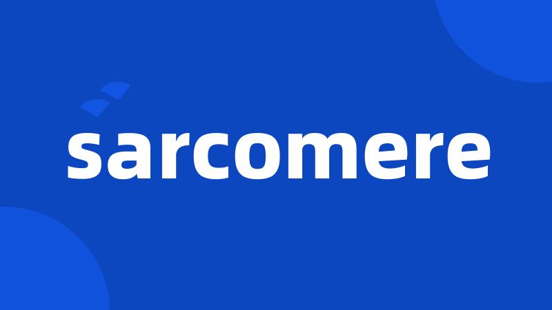 sarcomere