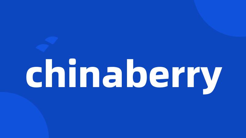 chinaberry