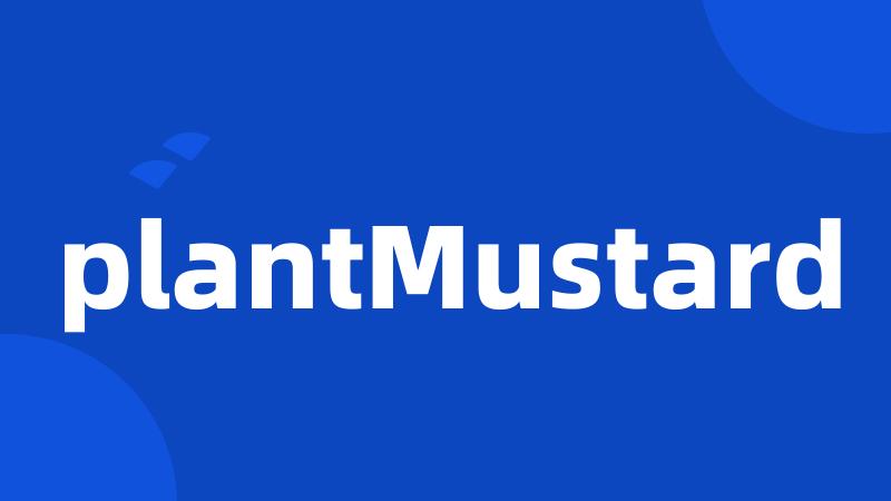 plantMustard