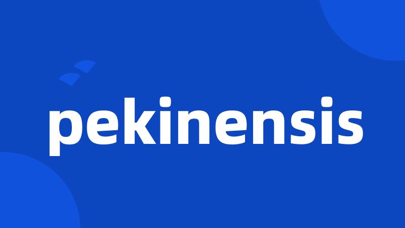 pekinensis