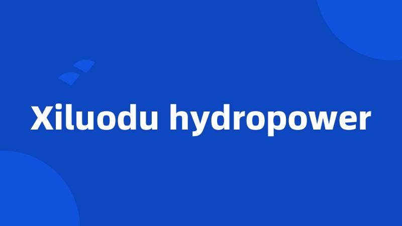 Xiluodu hydropower