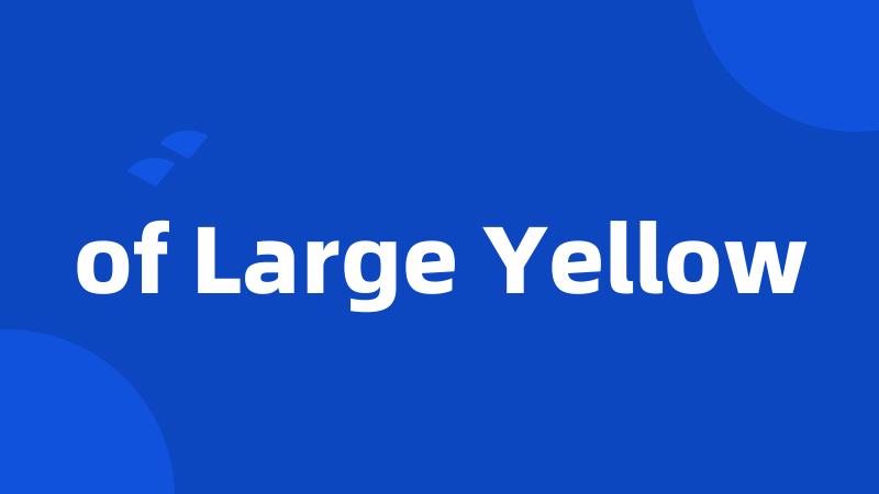 of Large Yellow