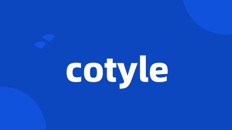 cotyle