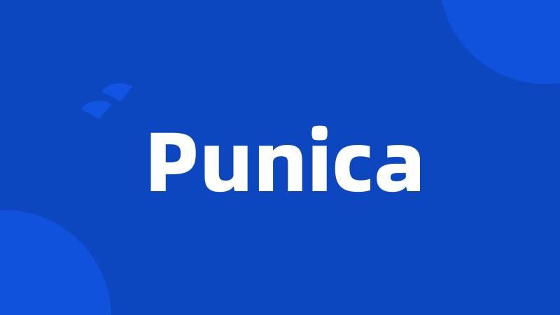 Punica