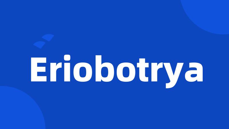 Eriobotrya