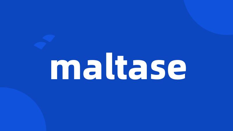 maltase