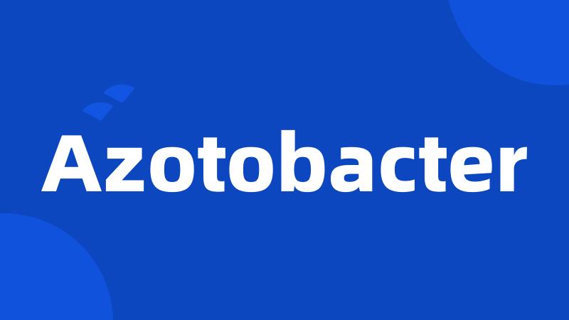 Azotobacter