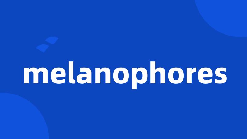 melanophores