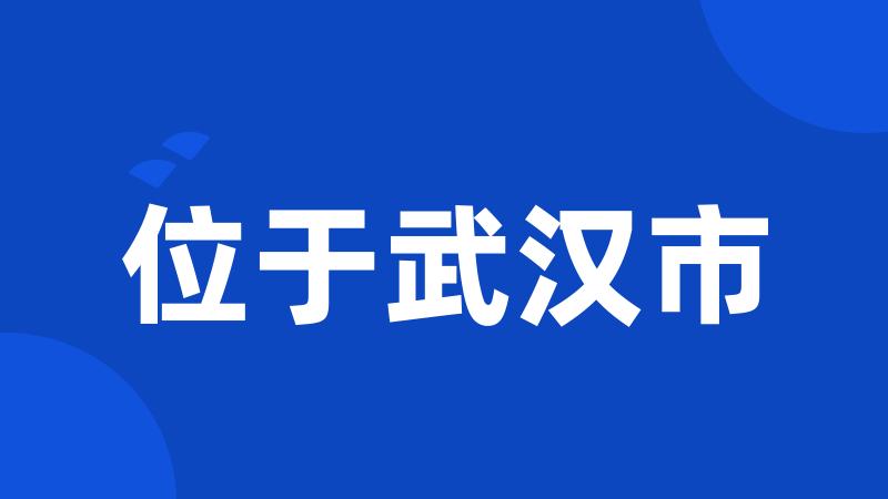 位于武汉市