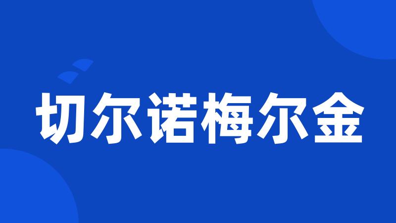 切尔诺梅尔金