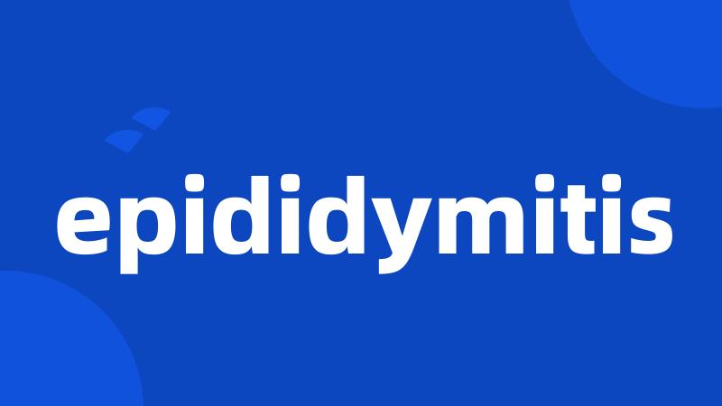 epididymitis