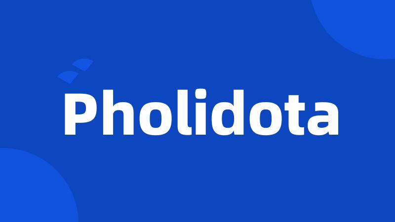 Pholidota