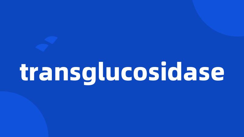 transglucosidase