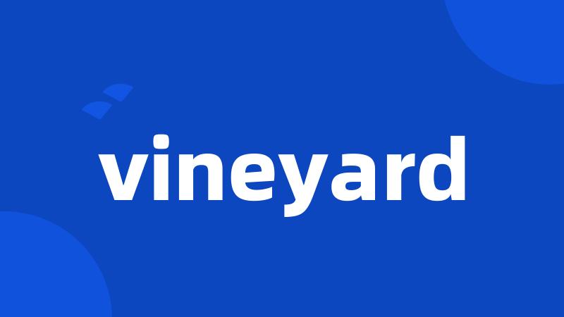 vineyard