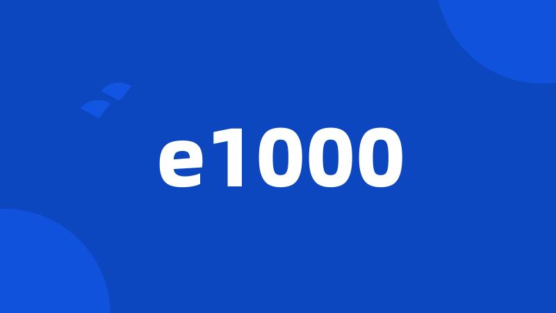 e1000