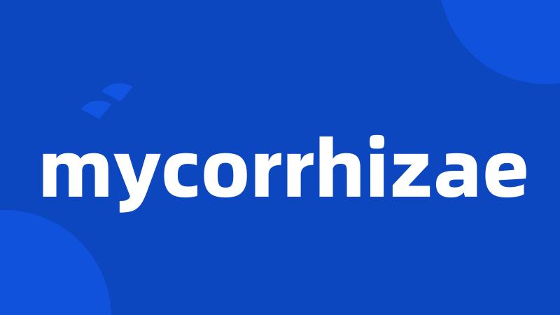 mycorrhizae