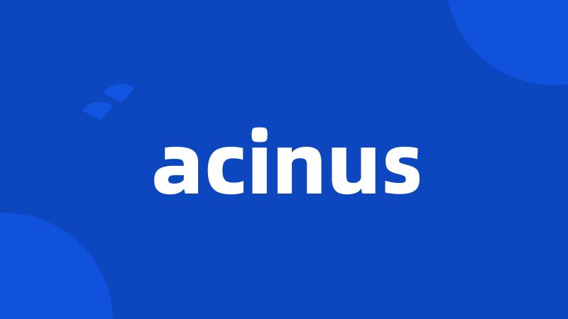 acinus