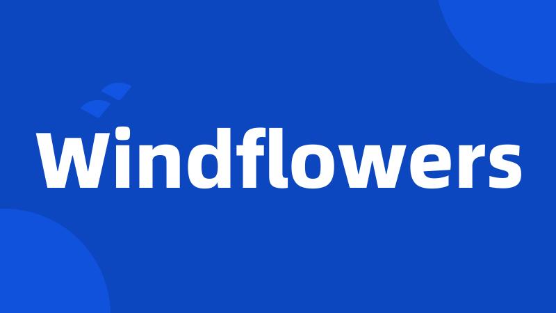 Windflowers