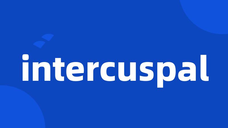 intercuspal