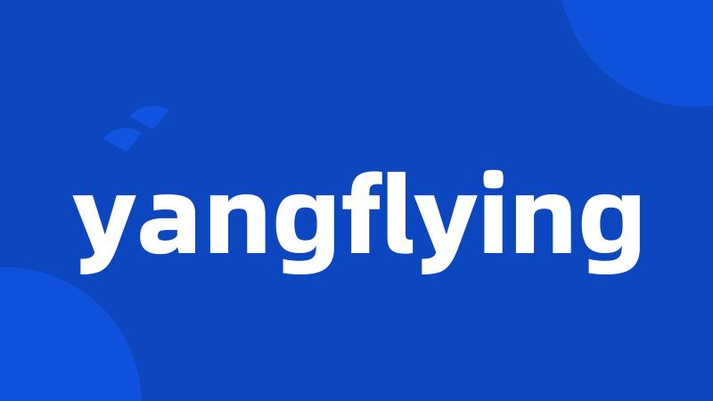 yangflying