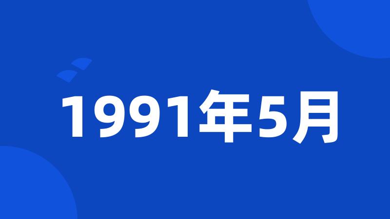 1991年5月