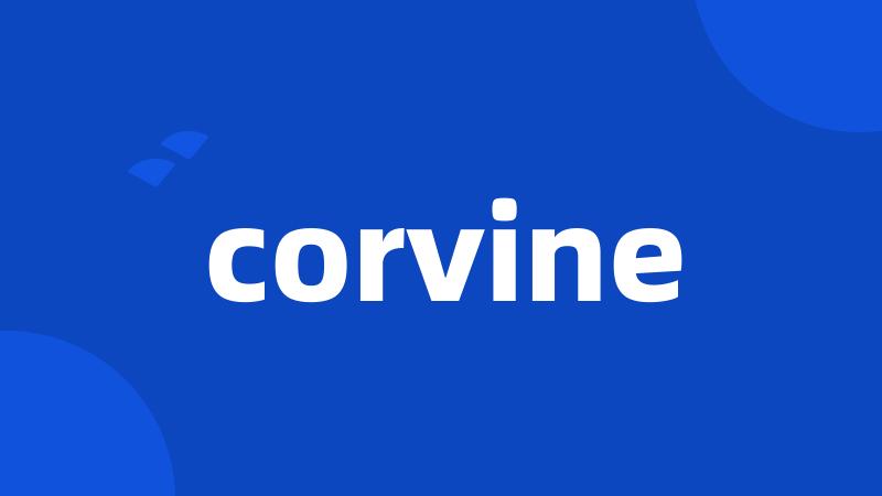 corvine