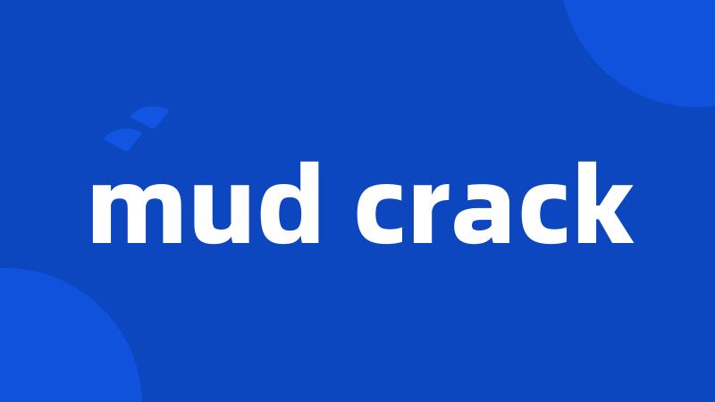 mud crack