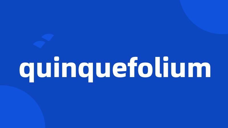 quinquefolium