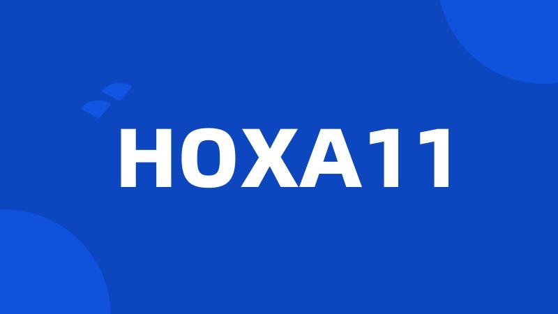 HOXA11