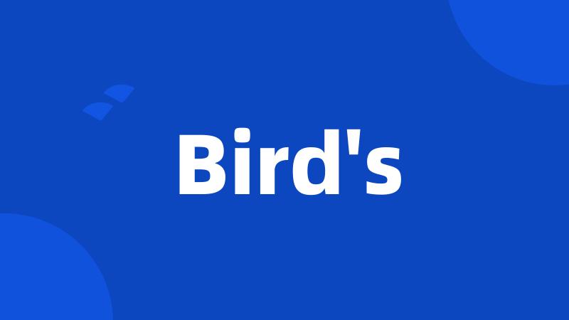 Bird's