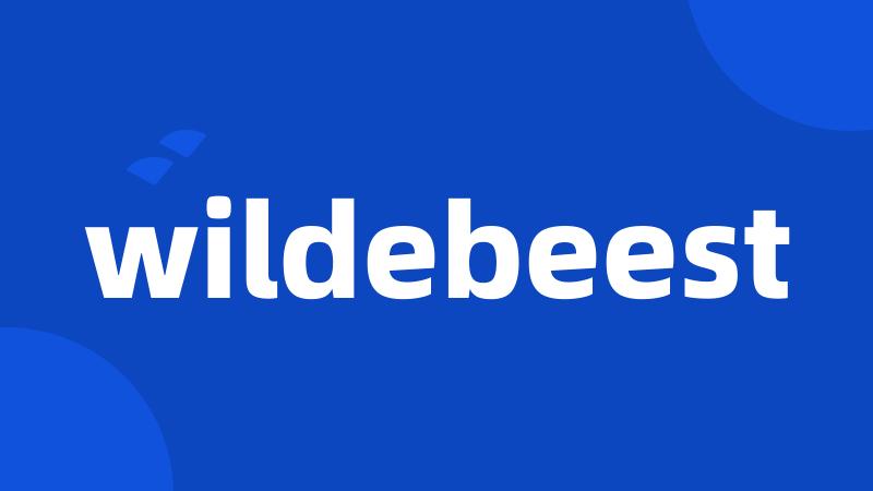 wildebeest