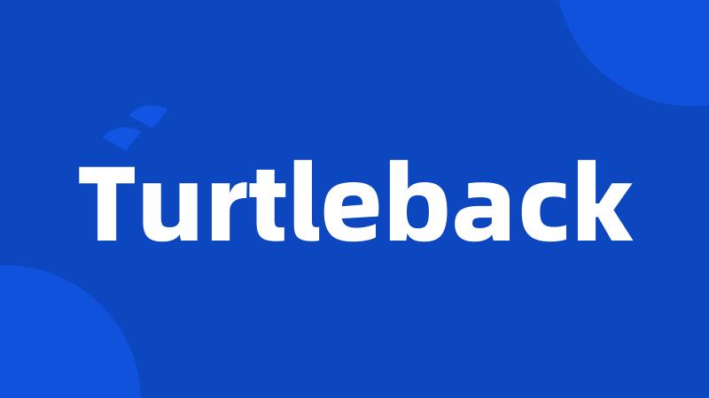 Turtleback