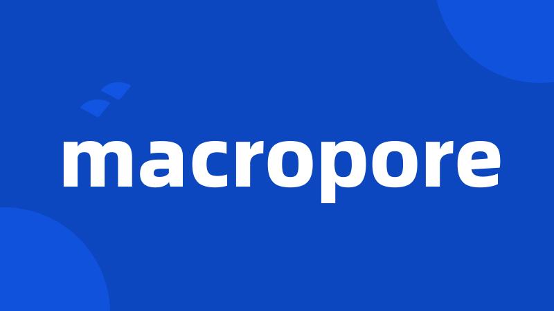 macropore