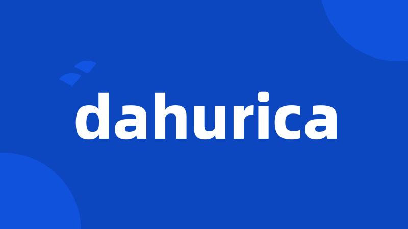 dahurica