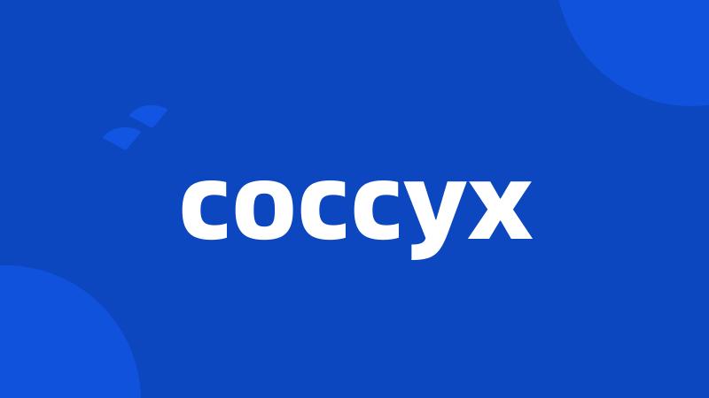 coccyx