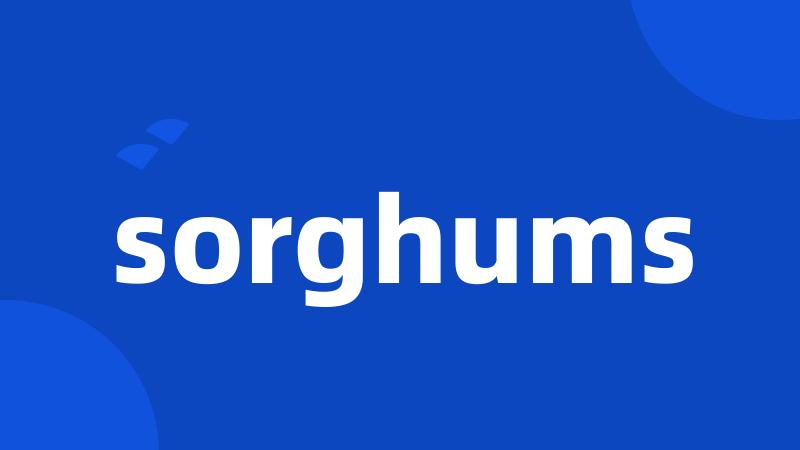 sorghums