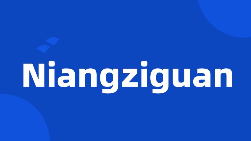 Niangziguan