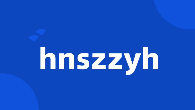 hnszzyh