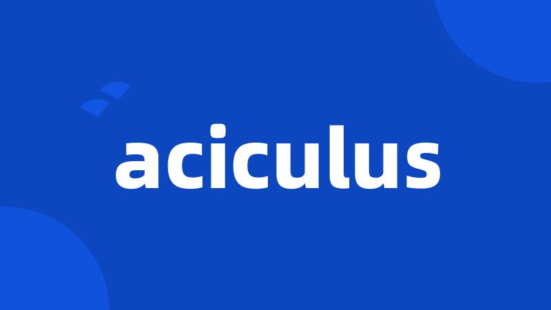 aciculus