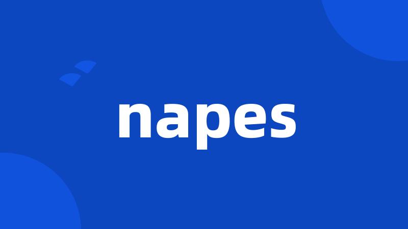 napes