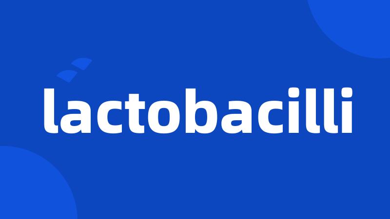 lactobacilli