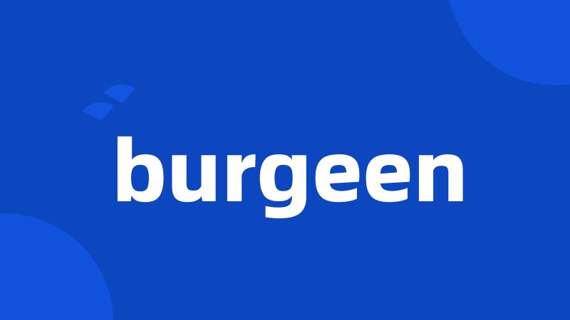 burgeen