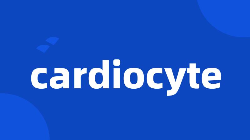 cardiocyte